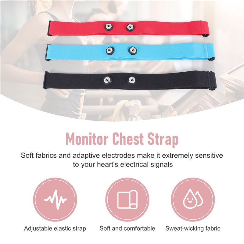 RTENTE-3 Buah Tali Dada Penguk - Heart Rate Strap Chest ulasan dan harga