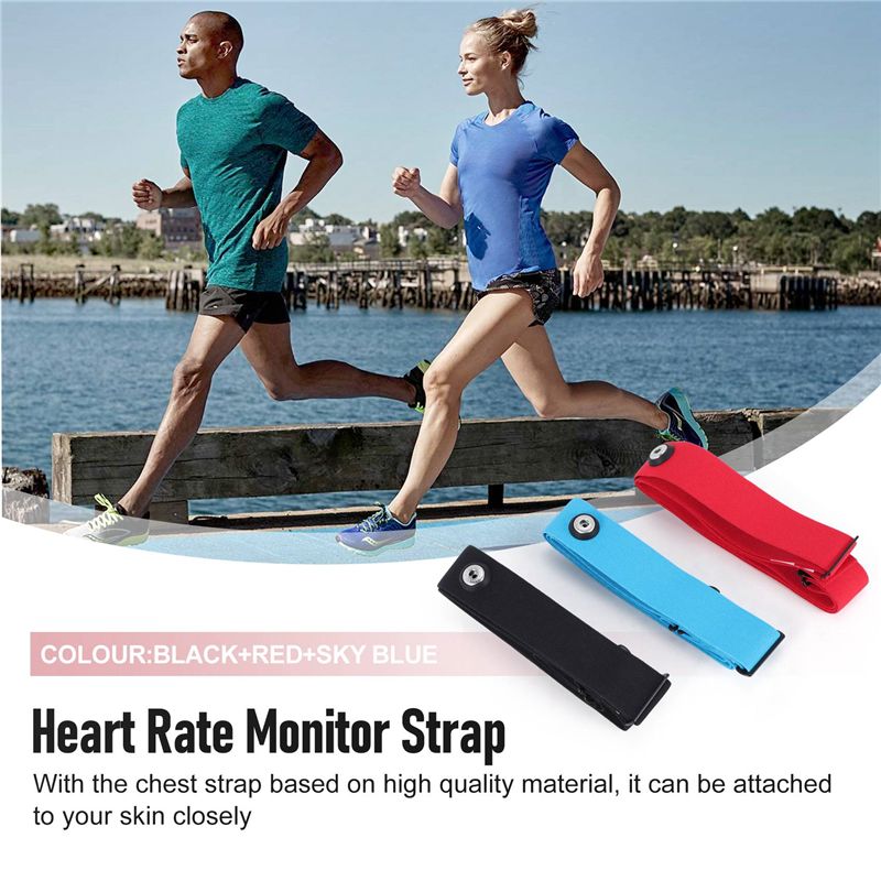 RTENTE-3 Buah Tali Dada Penguk - Heart Rate Strap Chest ulasan dan harga