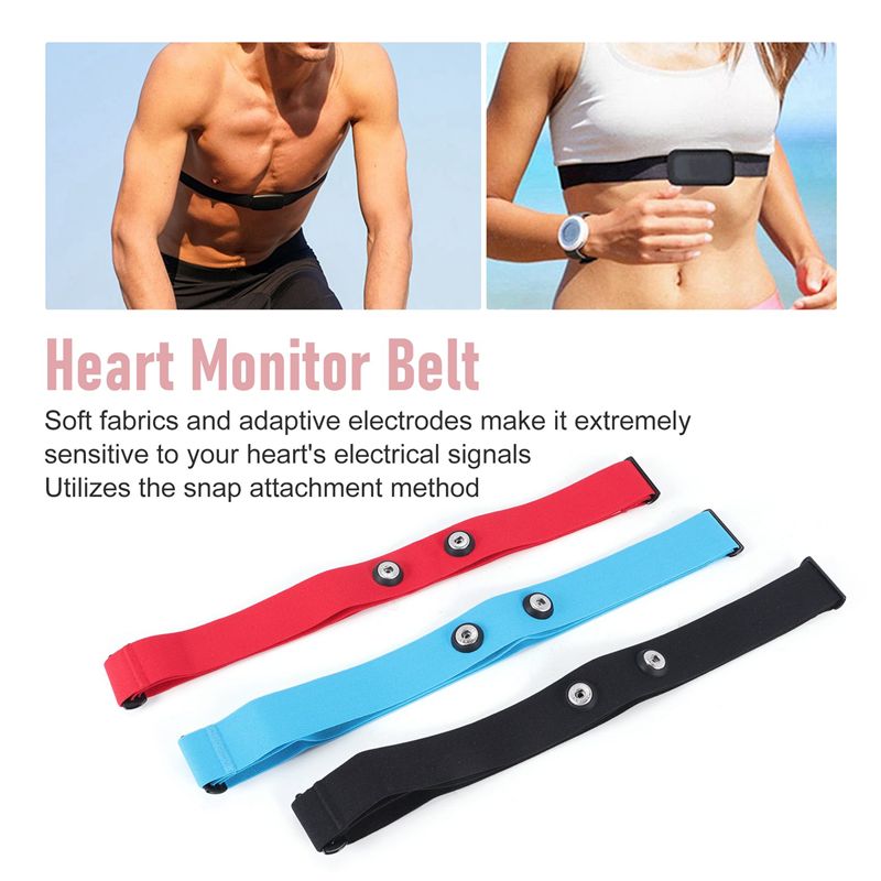 RTENTE-3 Buah Tali Dada Penguk - Heart Rate Strap Chest ulasan dan harga