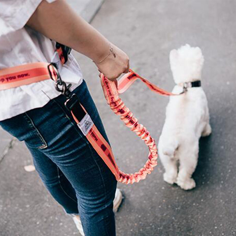Tali Anjing Bebas Genggam Dapa - Running Jogging Gear ulasan dan harga