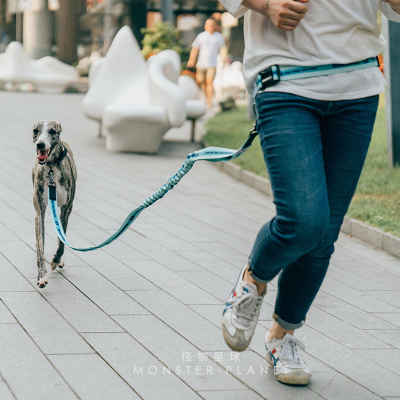 Tali Anjing Bebas Genggam Dapa - Running Jogging Gear ulasan dan harga
