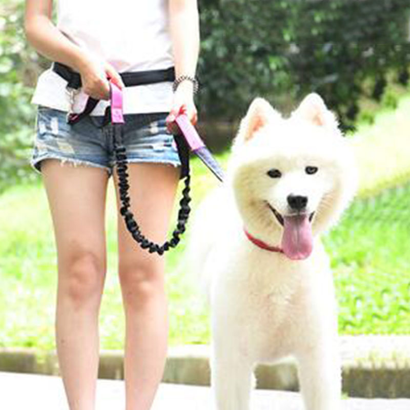 Tali Anjing Bebas Genggam Dapa - Running Jogging Gear ulasan dan harga